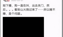 吃瓜娱乐圈打工人,吃瓜日常与职场心酸